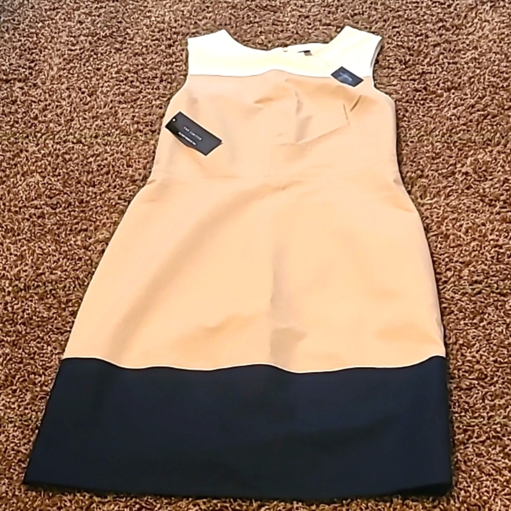 New Limited Dress 8